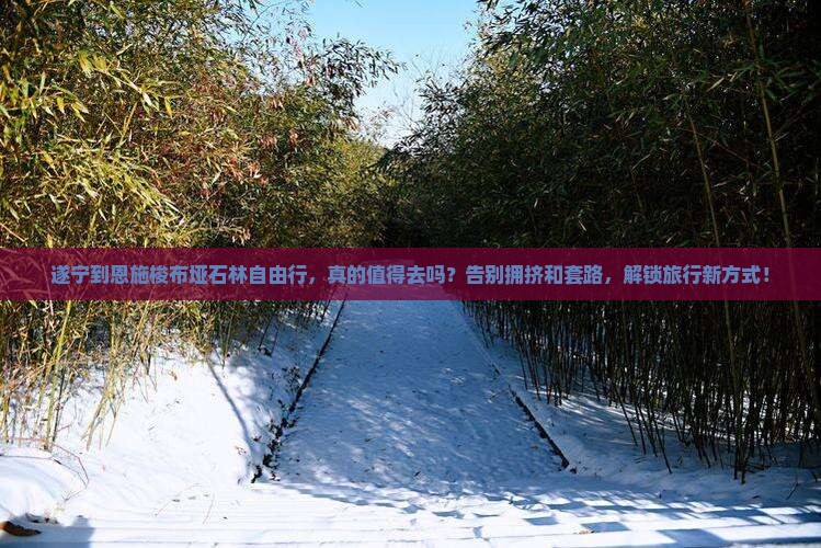 遂宁到恩施梭布垭石林自由行