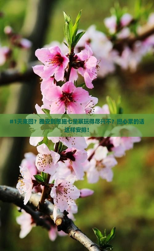 雅安到恩施七星寨一日