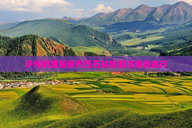 泸州去恩施梭布垭石林自由团