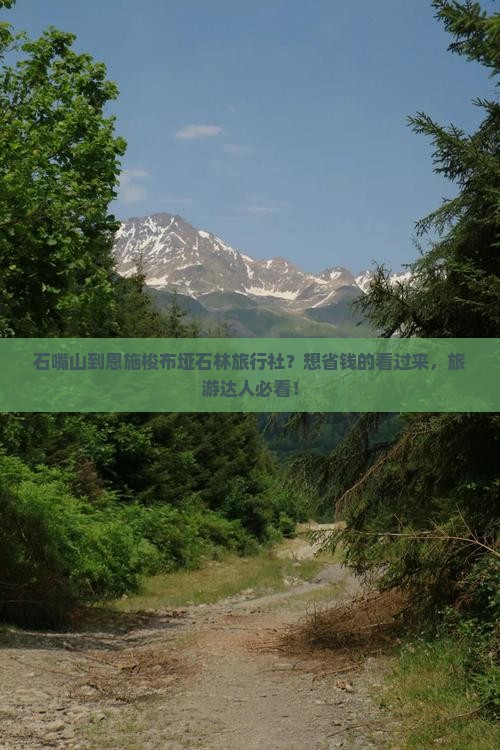 石嘴山到恩施梭布垭石林旅行社