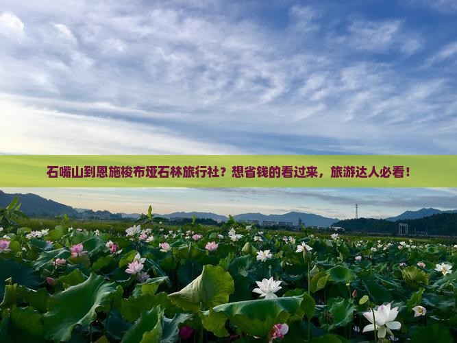 石嘴山到恩施梭布垭石林旅行社