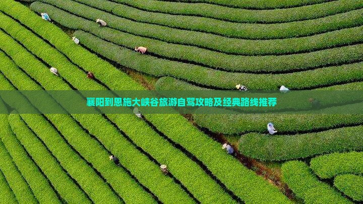 襄樊到恩施大峡谷攻略