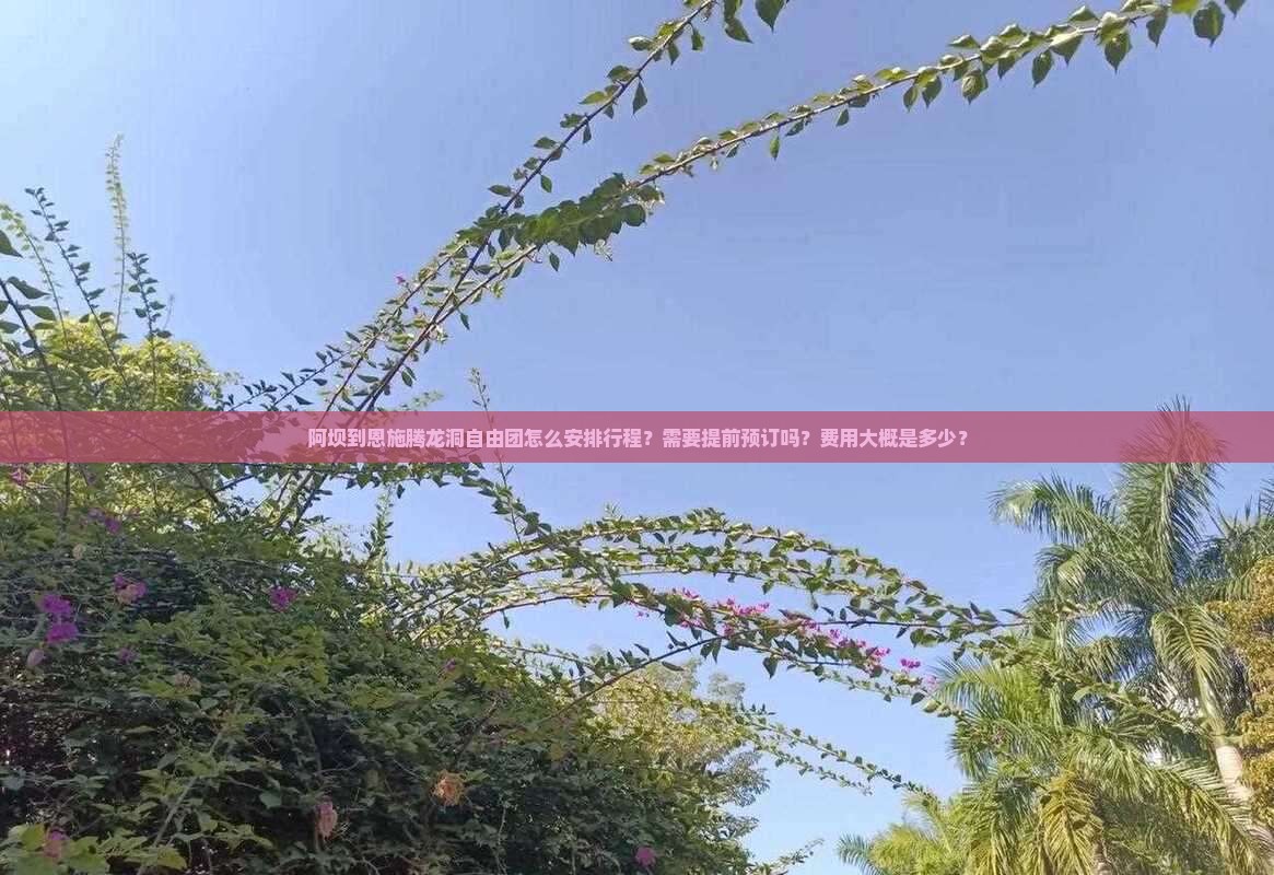 阿坝到恩施腾龙洞自由团