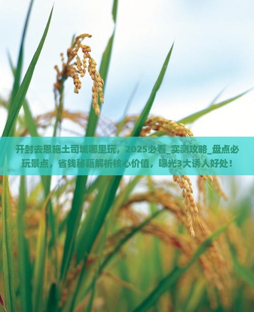 开封去恩施土司城哪里玩