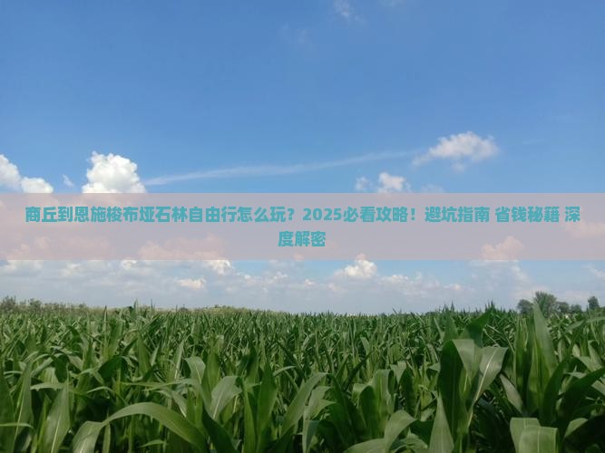 商丘到恩施梭布垭石林自由行