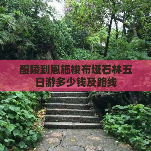 醴陵到恩施梭布垭石林五日游