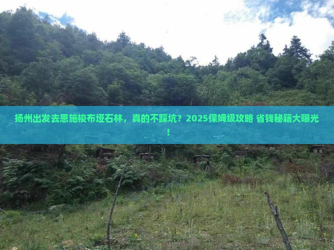 扬州到恩施梭布垭石林旅行社