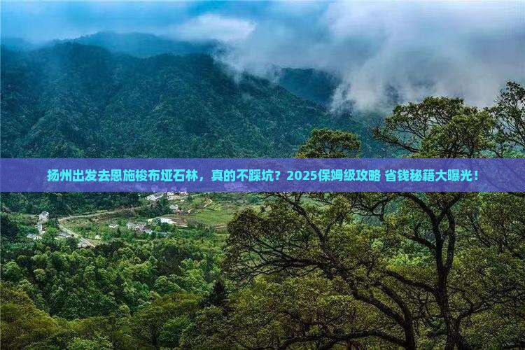 扬州到恩施梭布垭石林旅行社