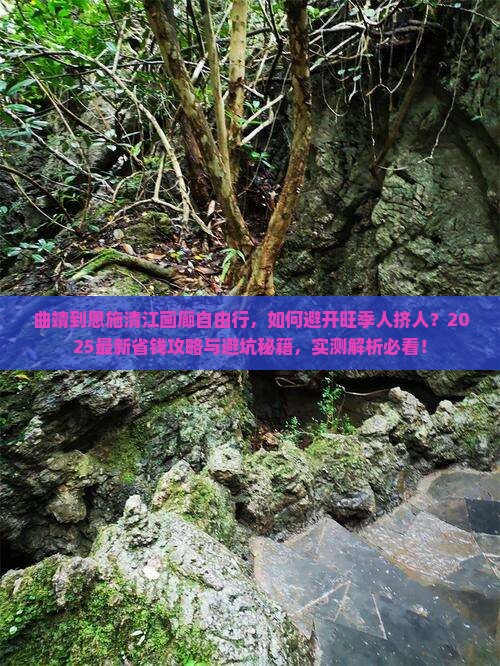 曲靖到恩施清江画廊自由行