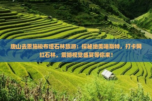 唐山去恩施梭布垭石林旅游