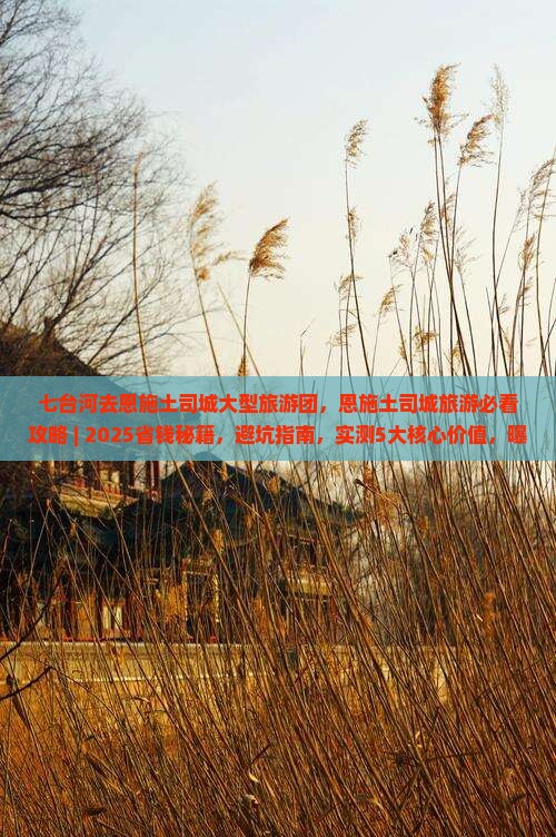 七台河去恩施土司城大型旅游团