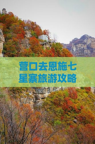 营口去恩施七星寨门票
