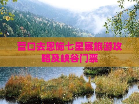 营口去恩施七星寨门票