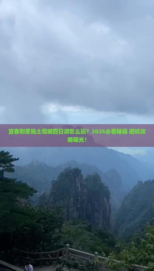 宜春到恩施土司城四日游