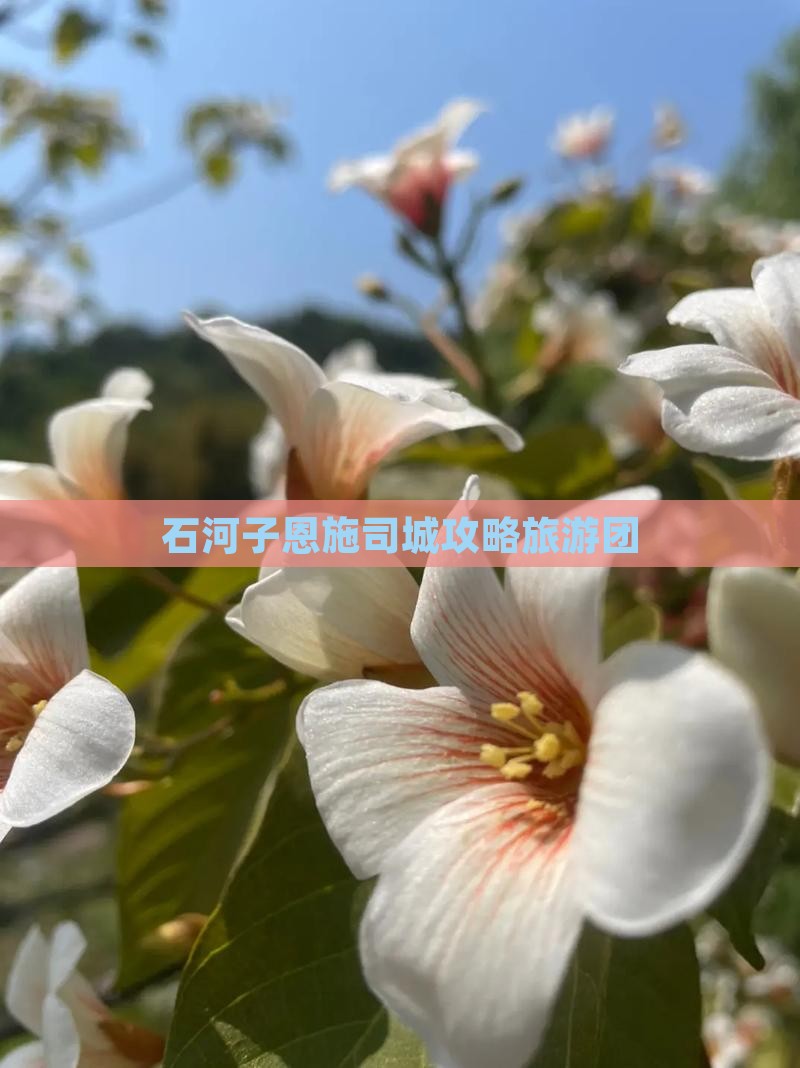 石河子去恩施土司城大型旅游团