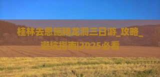 桂林去恩施腾龙洞三日游
