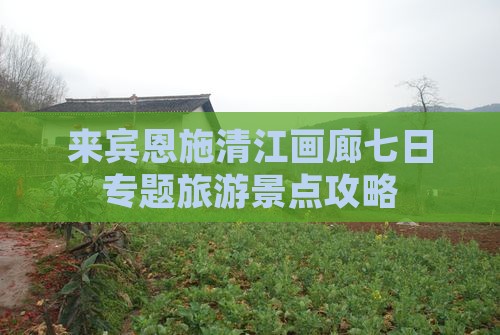 来宾到恩施清江画廊七日游