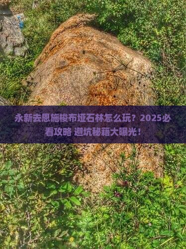 永新去恩施梭布垭石林攻略