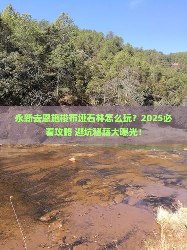 永新去恩施梭布垭石林攻略