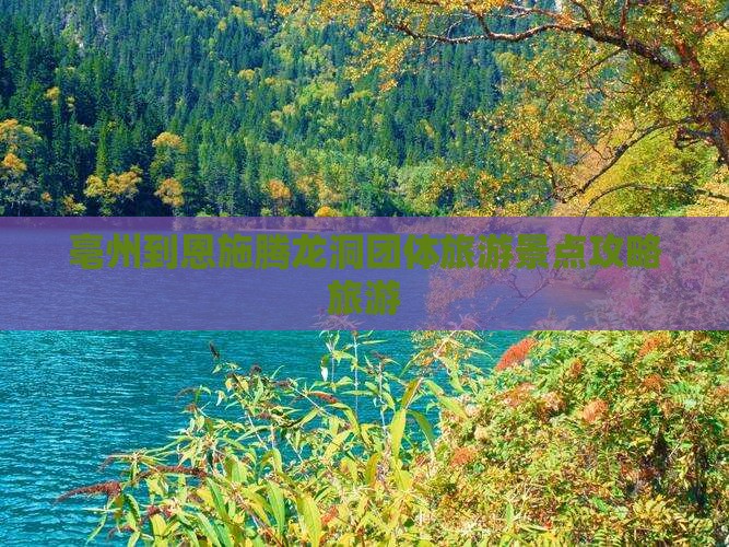 亳州到恩施腾龙洞团体旅游