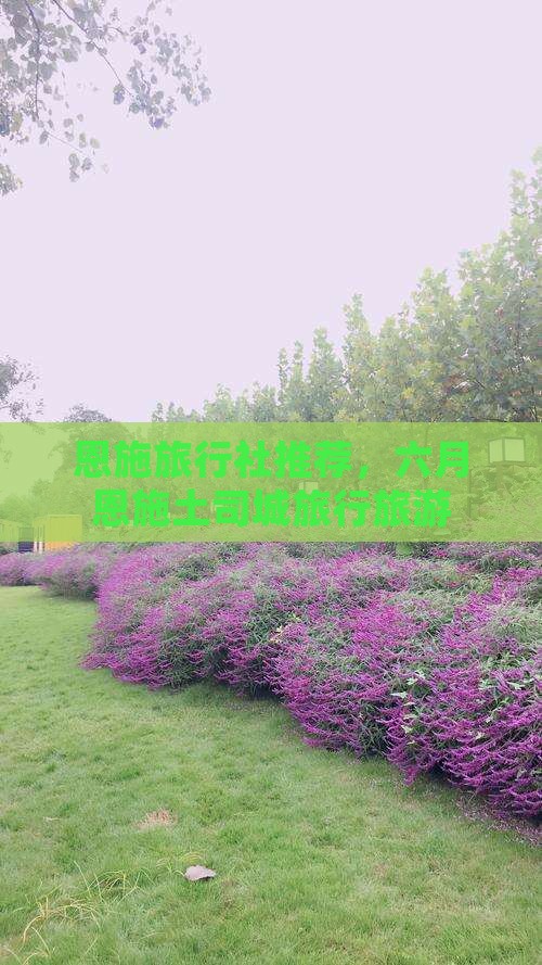 六月去恩施土司城旅行社