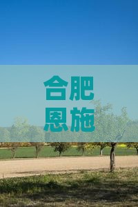 合肥去恩施腾龙洞个人游
