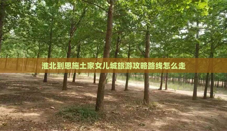 淮北到恩施土家女儿城旅游