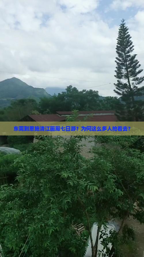 东莞到恩施清江画廊七日游