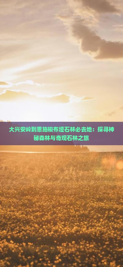 大兴安岭到恩施梭布垭石林必去地：探寻神秘森林与奇观石林之旅