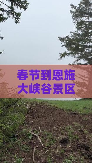 春节到恩施大峡谷景区六日游