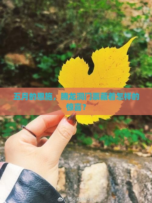五月的恩施，腾龙洞门票藏着怎样的惊喜？
