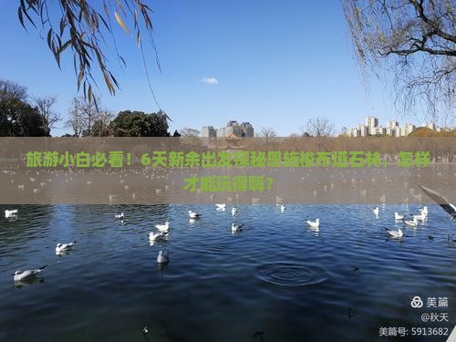 旅游小白必看！6天新余出发探秘恩施梭布垭石林，怎样才能玩得嗨？