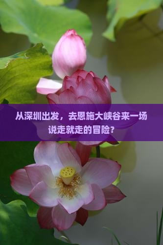 从深圳出发，去恩施大峡谷来一场说走就走的冒险？