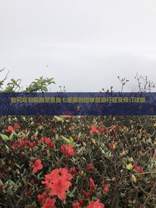 如何规划陇南至恩施七星寨的团体旅游行程及预订攻略？