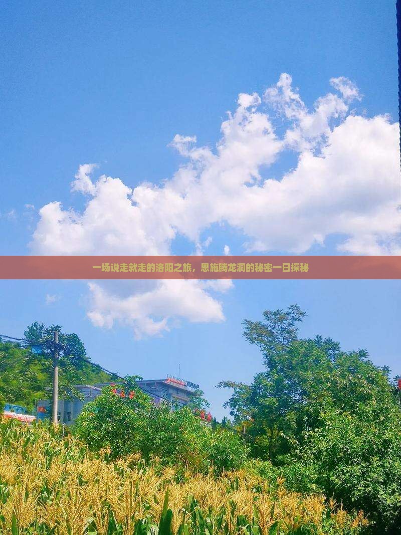 一场说走就走的洛阳之旅，恩施腾龙洞的秘密一日探秘