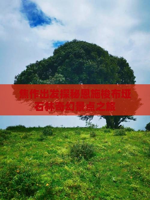 焦作出发探秘恩施梭布垭石林奇幻景点之旅