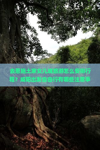 去恩施土家女儿城旅游怎么安排行程？咸阳出发自由行有哪些注意事项？