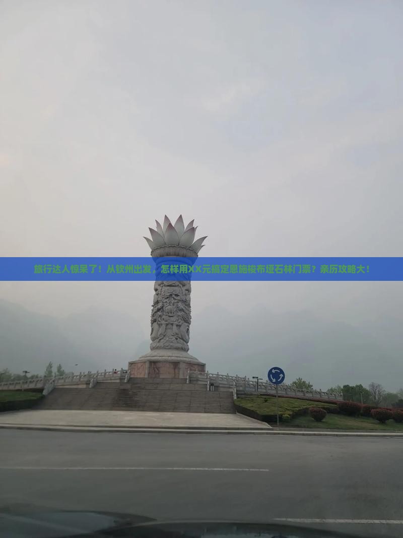 旅行达人惊呆了！从钦州出发，怎样用XX元搞定恩施梭布垭石林门票？亲历攻略大！
