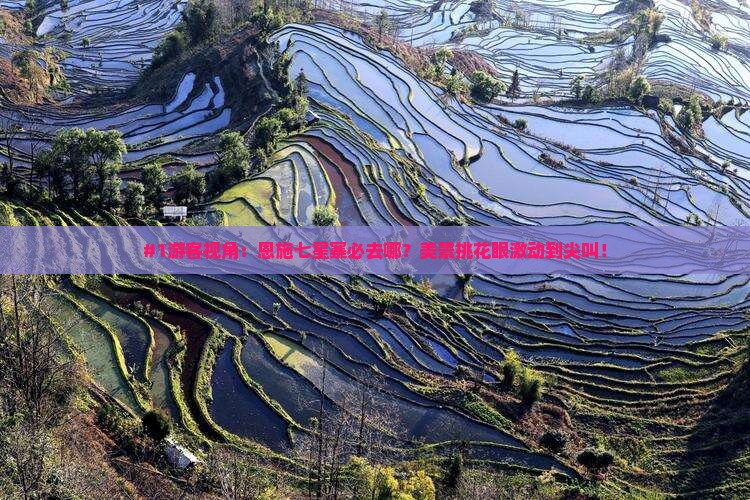 #1游客视角：恩施七星寨必去哪？美景挑花眼激动到尖叫！