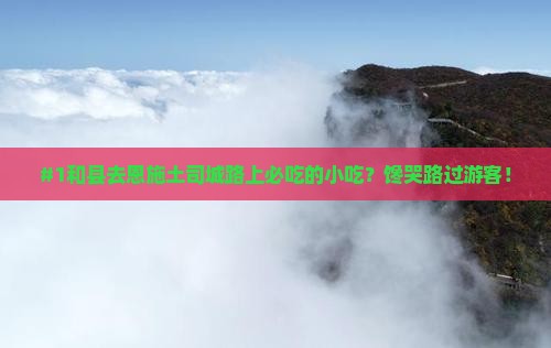 #1和县去恩施土司城路上必吃的小吃？馋哭路过游客！