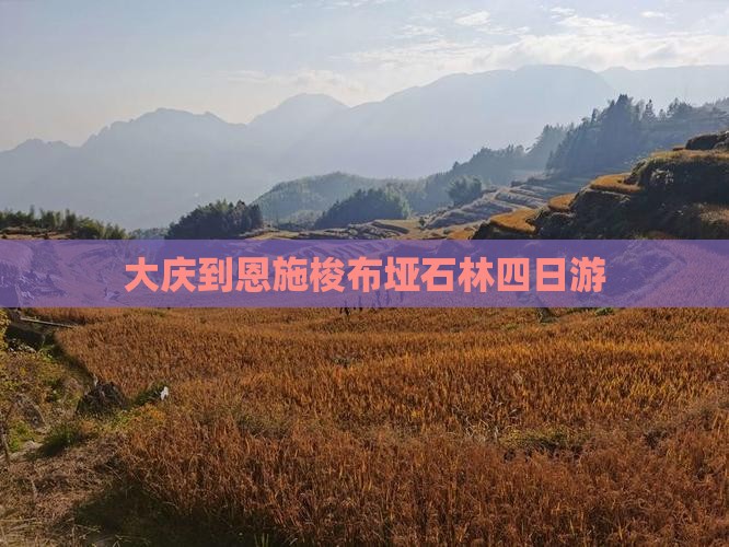 大庆到恩施梭布垭石林四日游