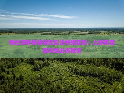 烟台游客探秘恩施自治州腾龙洞：土家族苗族风情必游景区