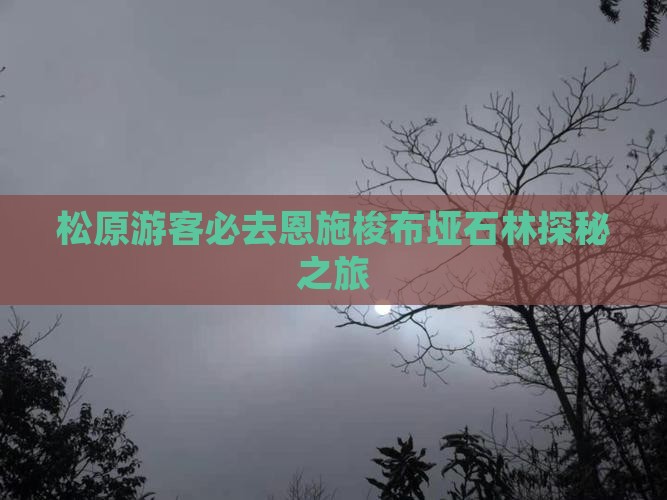 松原游客必去恩施梭布垭石林探秘之旅