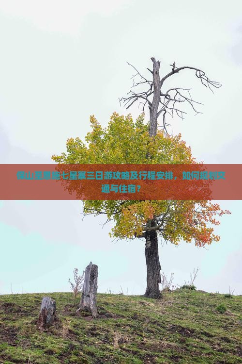 保山至恩施七星寨三日游攻略及行程安排，如何规划交通与住宿？