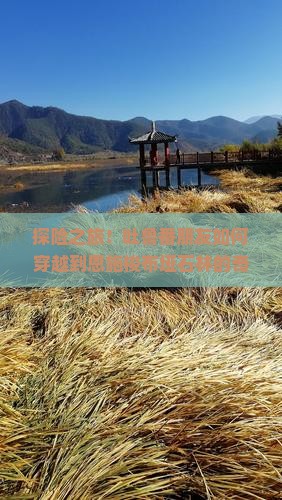 探险之旅！吐鲁番朋友如何穿越到恩施梭布垭石林的奇幻世界？