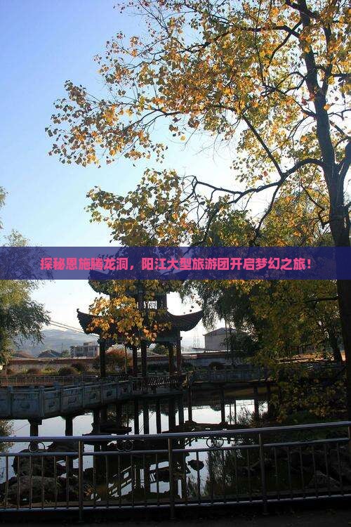探秘恩施腾龙洞，阳江大型旅游团开启梦幻之旅！