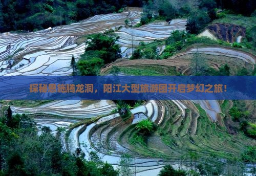 探秘恩施腾龙洞，阳江大型旅游团开启梦幻之旅！