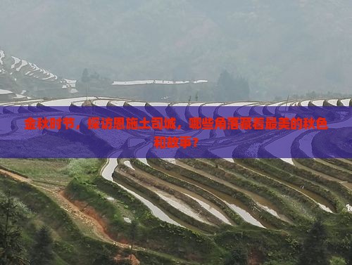 秋天去恩施土司城哪里玩