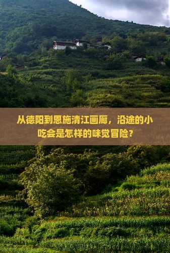 德阳去恩施清江画廊旅游小吃