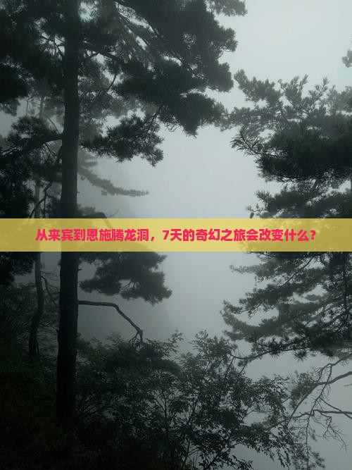 来宾到恩施腾龙洞七日游
